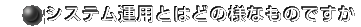 VXe^pƂ͂ǂ̗lȂ̂ł